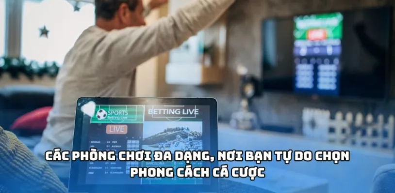 Trusted Bookmaker - Entertainment Platform for Gamblers