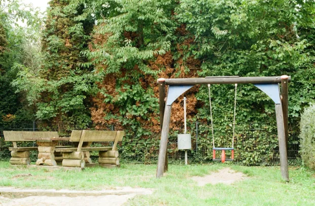 Designing Backyard Memories How Thoughtful Add‑Ons Make Ordinary Yards Extraordinary