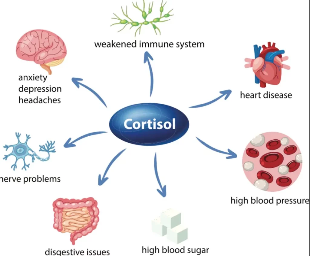 Testosterone-cortisol control: strategies to reduce stress hormone impact Testosterone-cortisol control strategies to reduce stress hormone impact