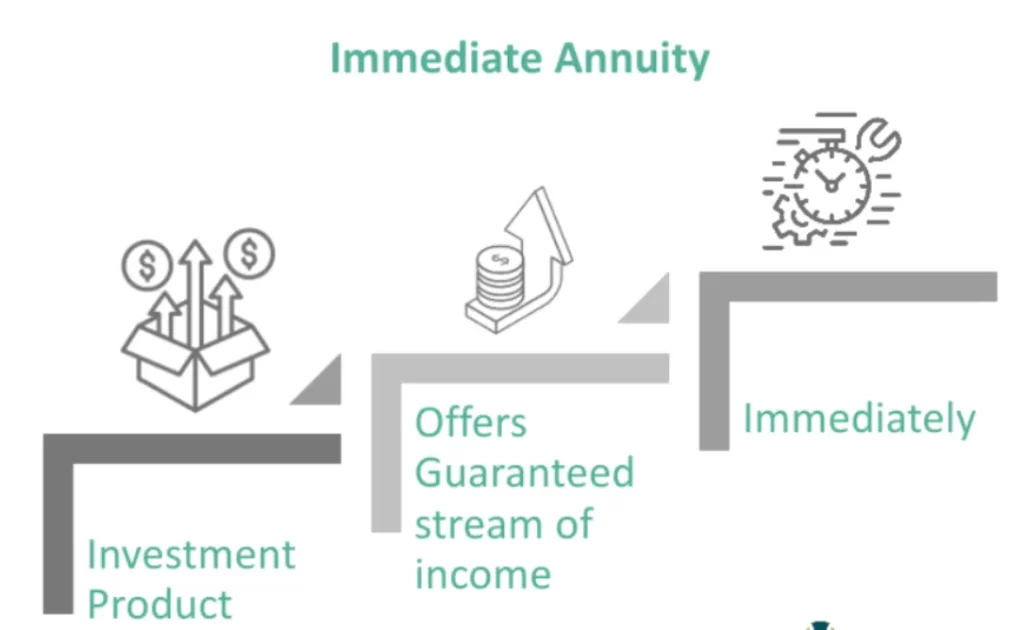 What is an Immediate Annuity Plan? Benefits, Features, & Types What is an Immediate Annuity Plan Benefits, Features, & Types