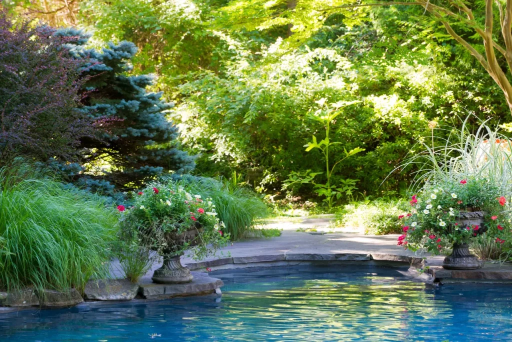 Blending Pools and Art for a More Inspiring Backyard