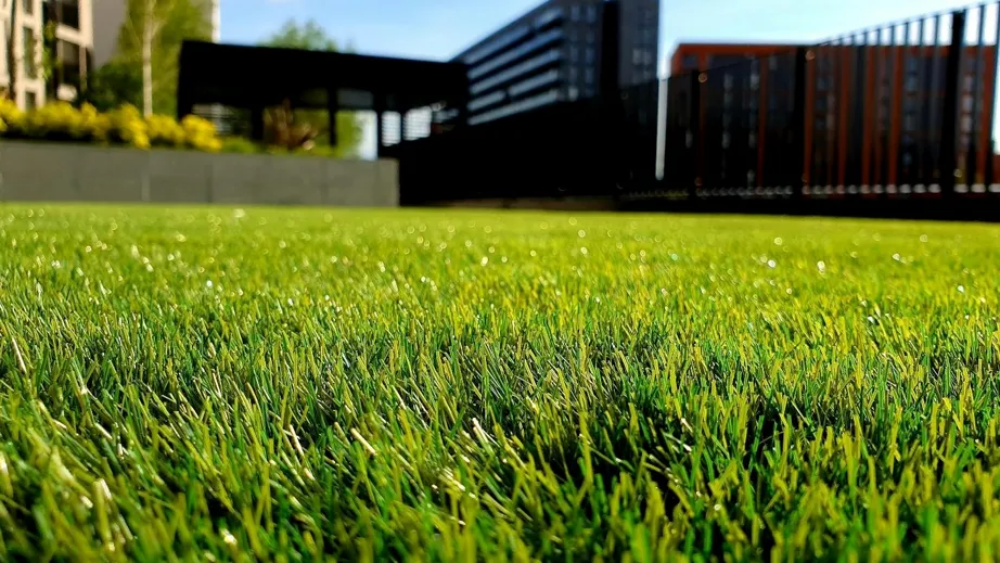 How Homeowners Manage Lawn Health In Austin’s Climate