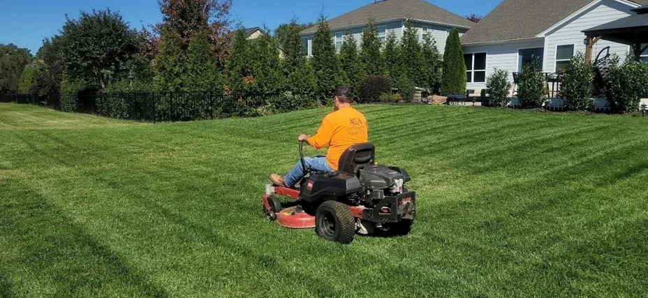 How Homeowners Manage Lawn Health In Austin’s Climate