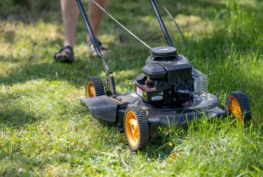How Homeowners Manage Lawn Health In Austin’s Climate