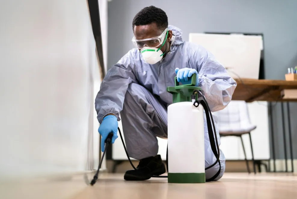 Why Early Pest Control Is Better Than Emergency Treatment Why Early Pest Control Is Better Than Emergency Treatment